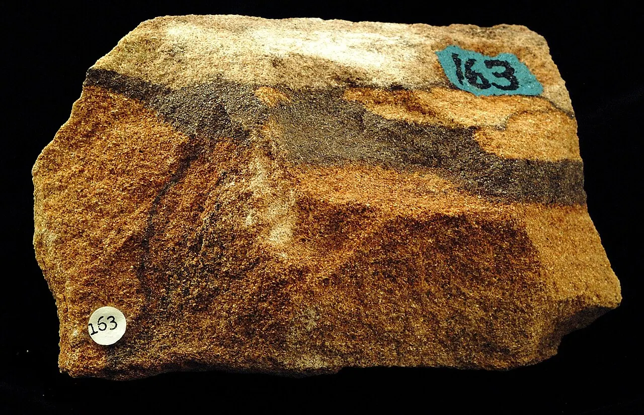 A banded sandstone specimen showing sand-sized grains cemented into rock with visible parallel layers.