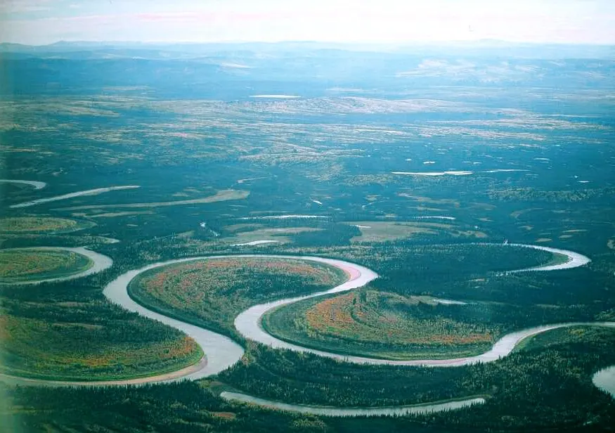 Aerial view of the Nowitna River in Alaska winding in broad meanders across a flat forested plain, with abandoned oxbow lakes beside it.